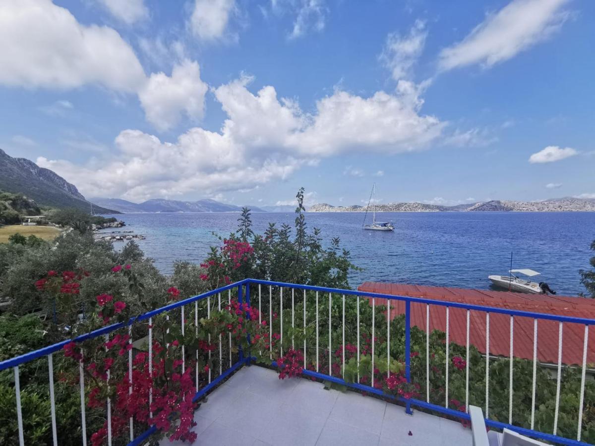 Mavi Akvaryum Pension Hotel Sogut  Buitenkant foto