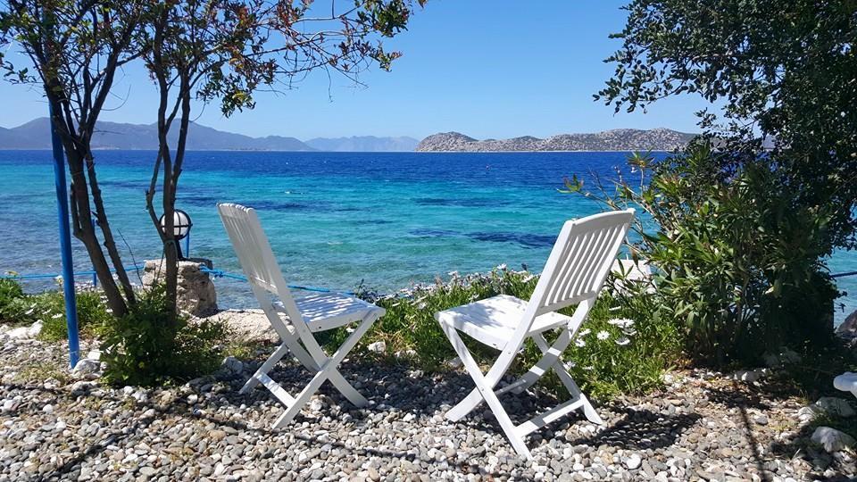 Mavi Akvaryum Pension Hotel Sogut  Buitenkant foto
