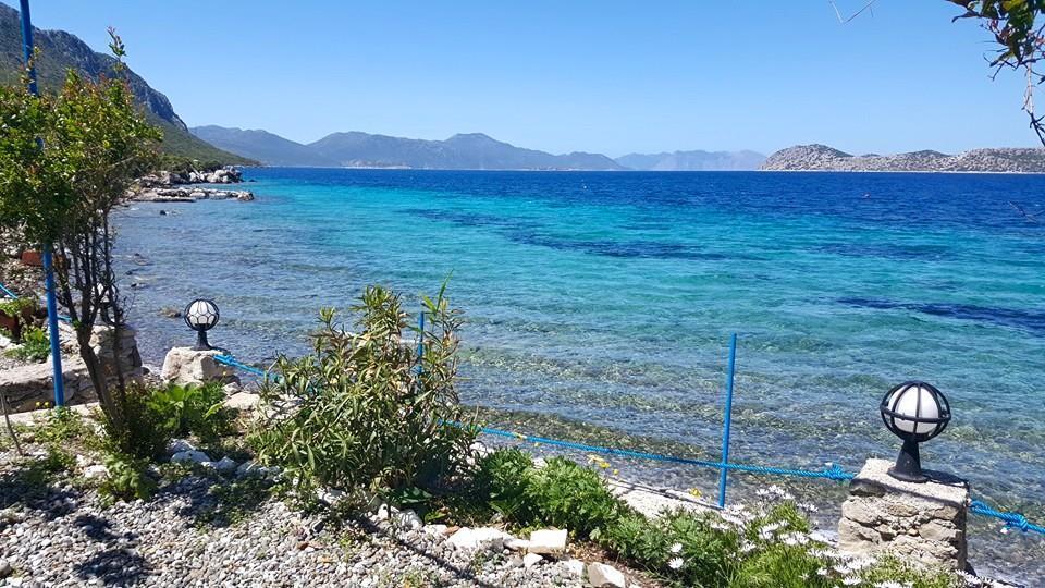 Mavi Akvaryum Pension Hotel Sogut  Buitenkant foto