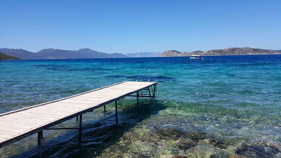 Mavi Akvaryum Pension Hotel Sogut  Buitenkant foto