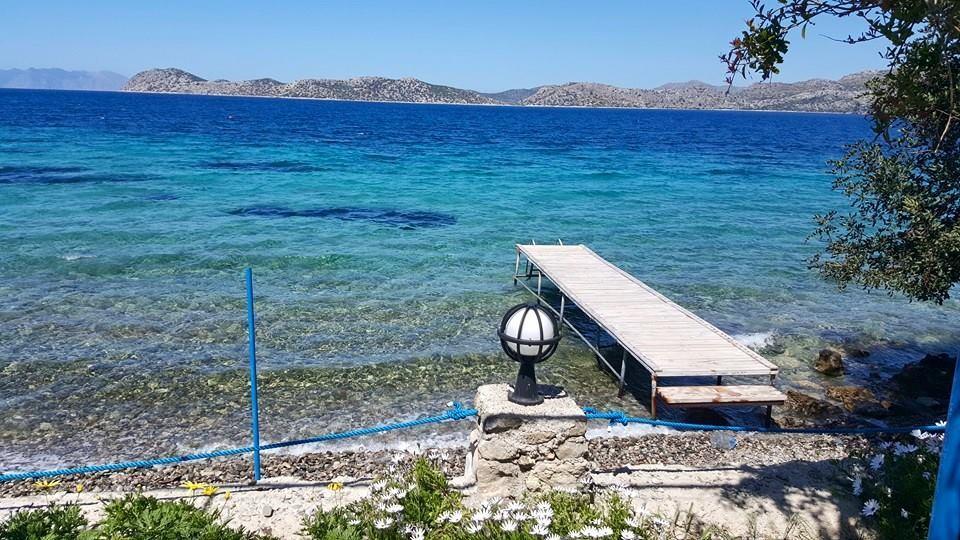 Mavi Akvaryum Pension Hotel Sogut  Buitenkant foto