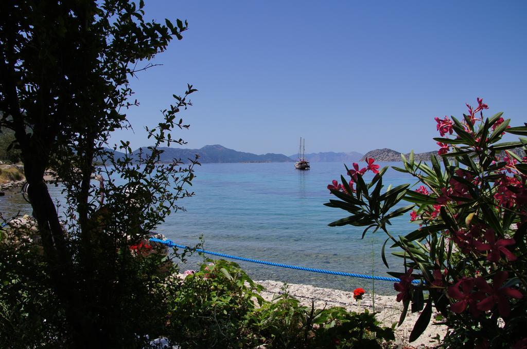 Mavi Akvaryum Pension Hotel Sogut  Buitenkant foto