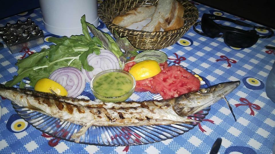 Mavi Akvaryum Pension Hotel Sogut  Buitenkant foto