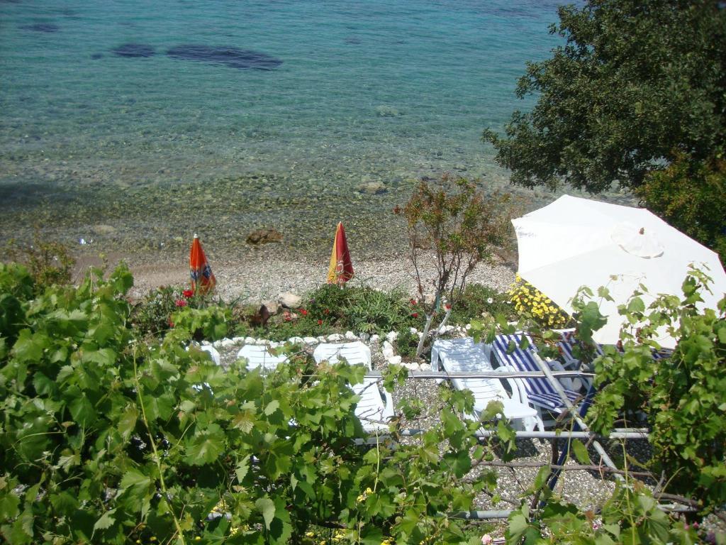 Mavi Akvaryum Pension Hotel Sogut  Buitenkant foto