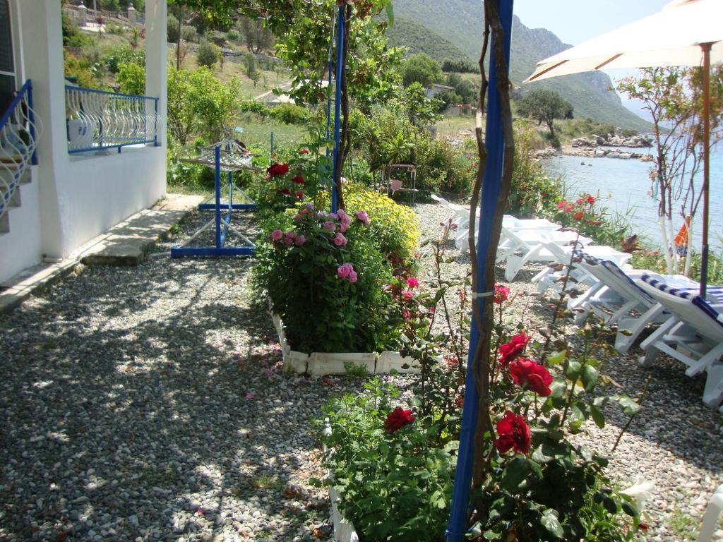 Mavi Akvaryum Pension Hotel Sogut  Buitenkant foto