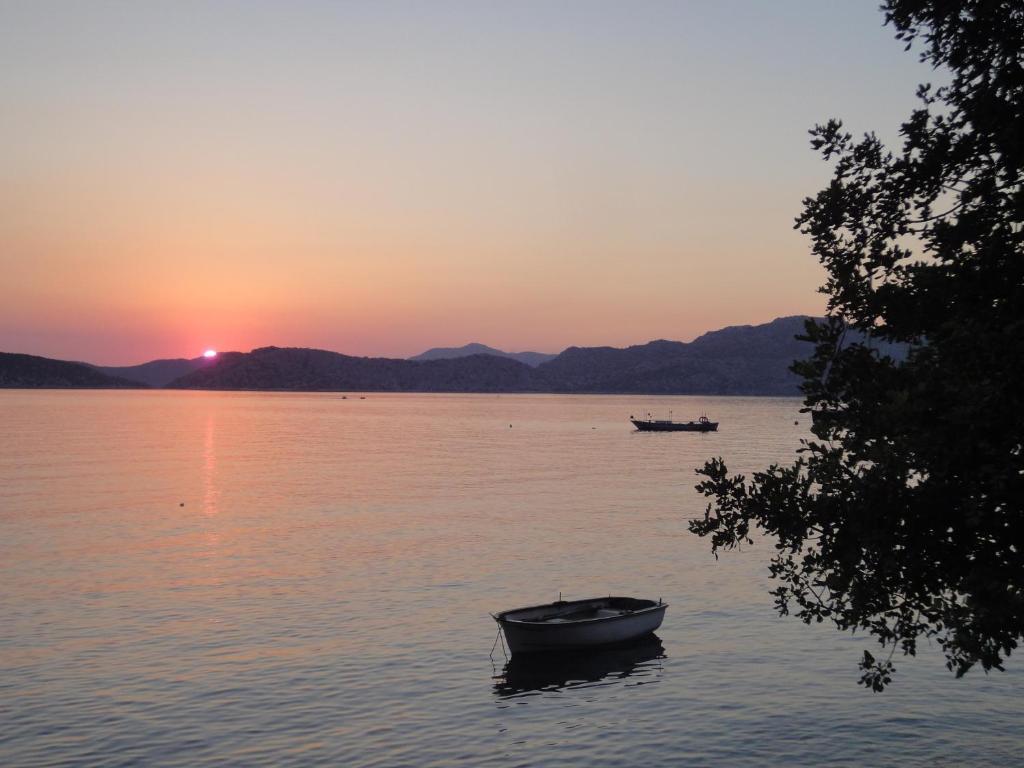 Mavi Akvaryum Pension Hotel Sogut  Buitenkant foto