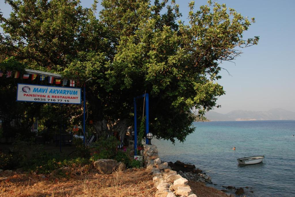 Mavi Akvaryum Pension Hotel Sogut  Buitenkant foto