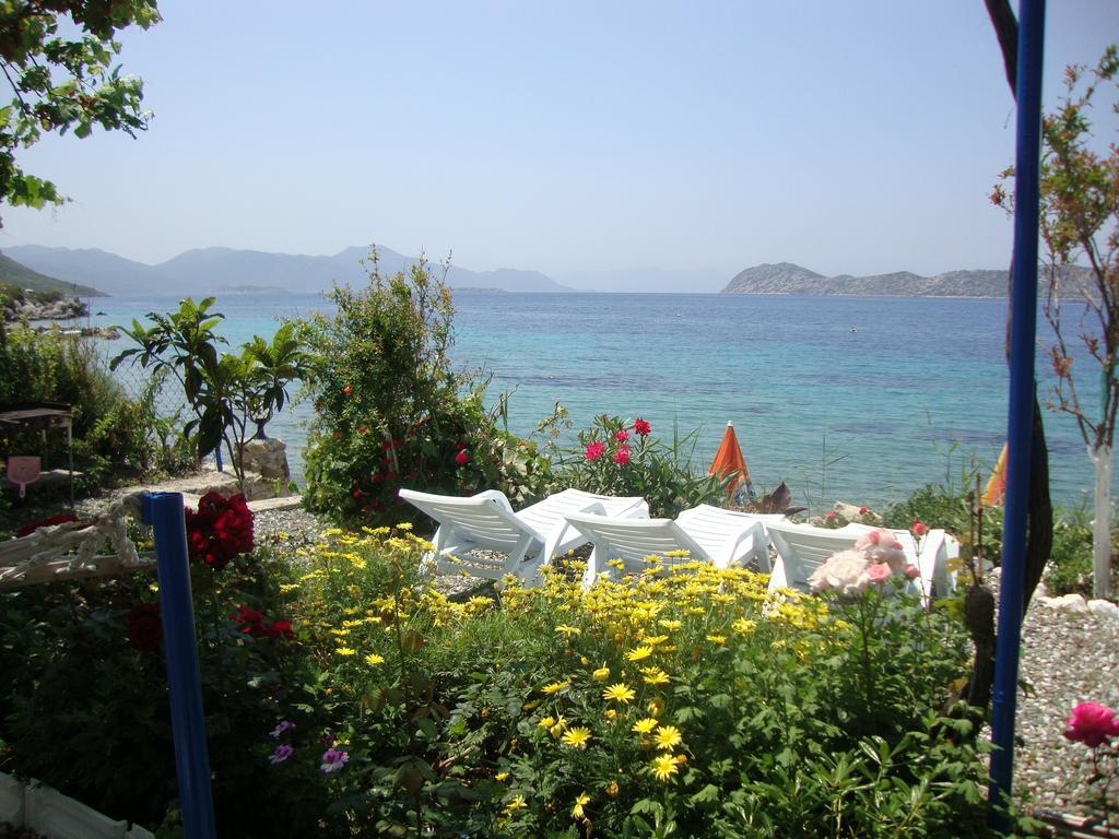 Mavi Akvaryum Pension Hotel Sogut  Buitenkant foto