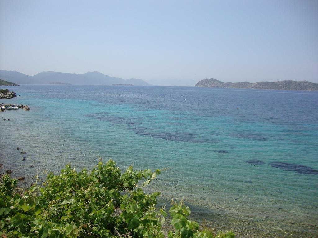Mavi Akvaryum Pension Hotel Sogut  Buitenkant foto